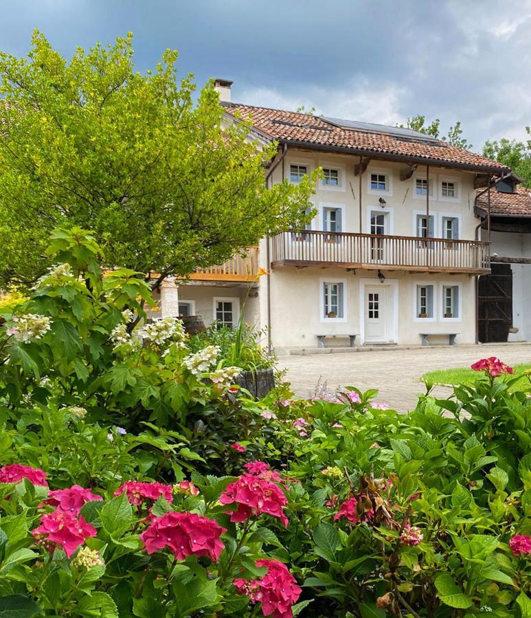 فيلا Casa Delle Arti Fattoria Dei Fiori Sospirolo المظهر الخارجي الصورة