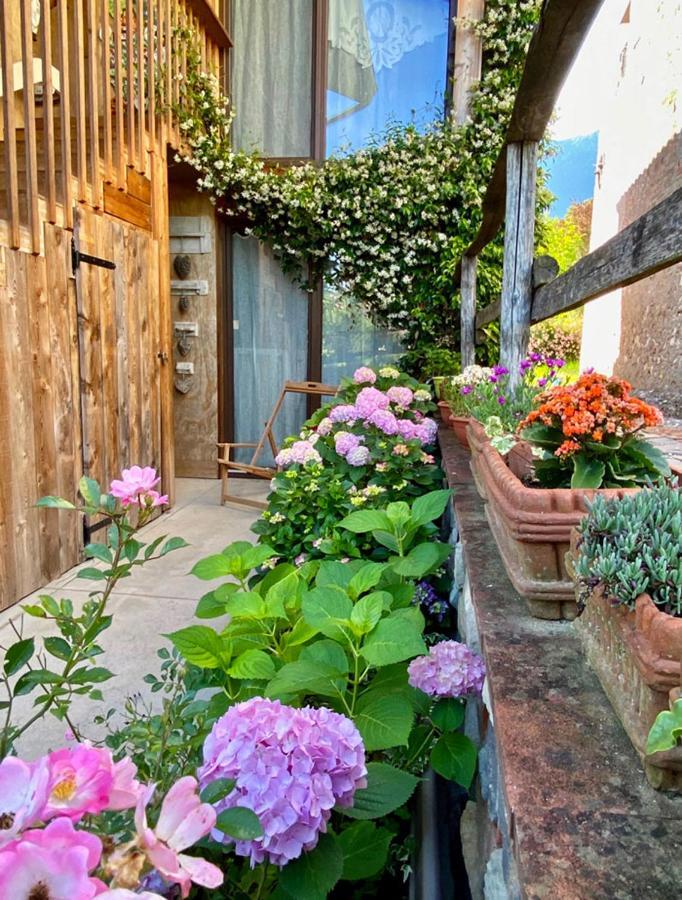 فيلا Casa Delle Arti Fattoria Dei Fiori Sospirolo المظهر الخارجي الصورة